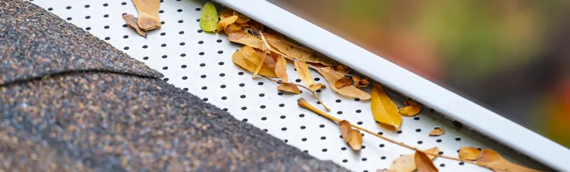 Roofs and Gutters